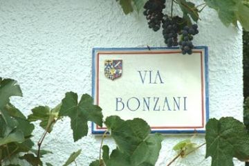 Via Bonzani - Targa Vie Comunali